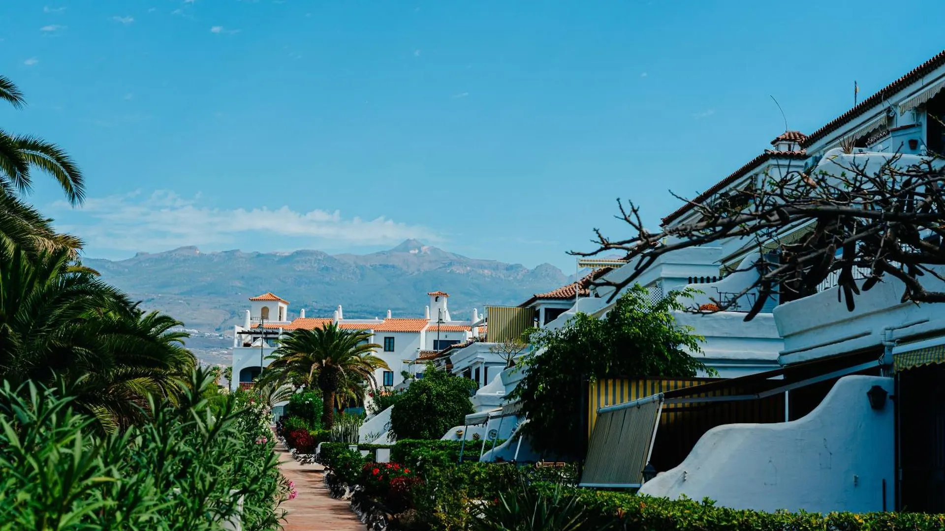 1Bdr Sunny Terrace Apartment San Miguel de Abona